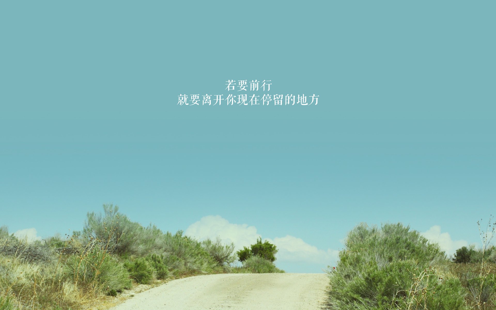 APEX英雄 选手表现引发热议，apex选手aceu