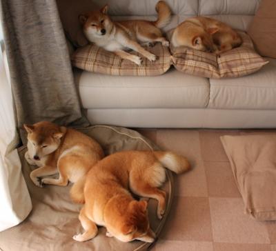 kaiyun体育综合-全国青少年“篮球+科技+环保”融合赛事在广州成功举行，推动多元发展