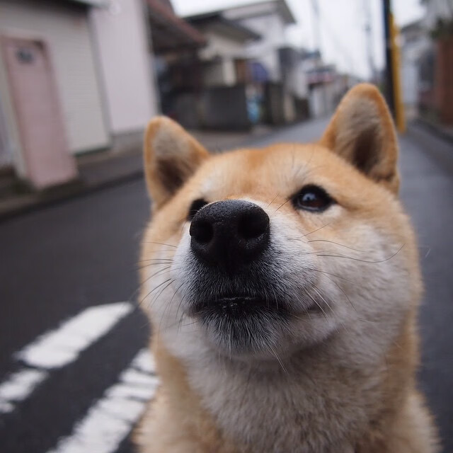 kaiyun中国官方网站-女性健身课程受欢迎，提升女性健康意识，女性健身教程