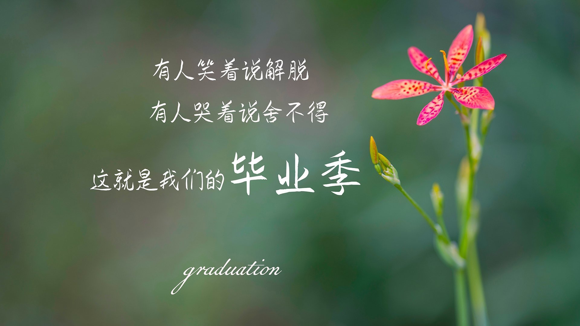 罗马队内氛围融洽,寻求联赛突破,罗马队的比赛