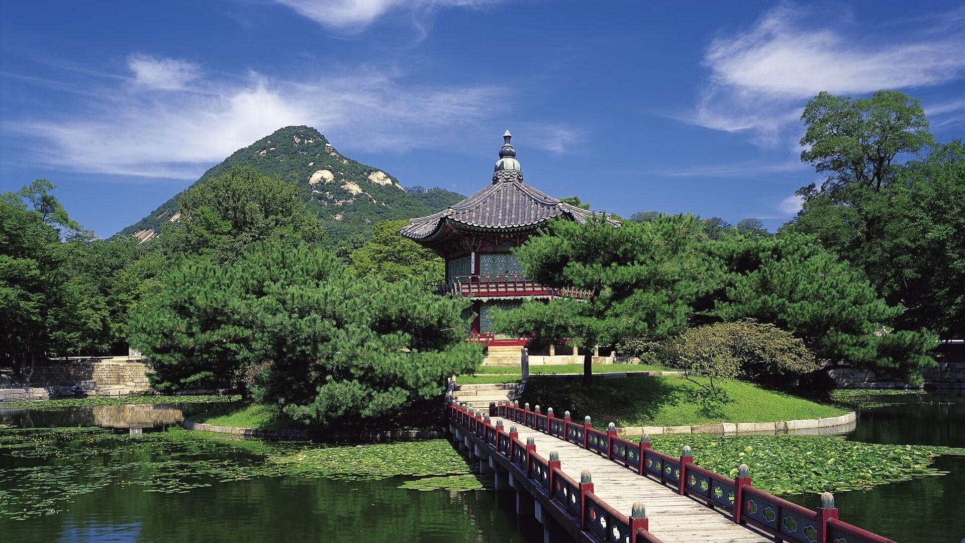 野外生存运动：极限挑战新玩法，野外挑战生存21天视频全集