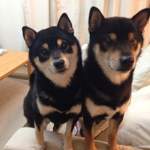 佛罗伦萨苦战获胜，追赶战略成功，佛罗伦萨在哪儿