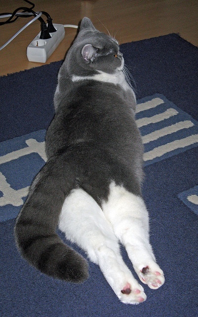 英格兰队队员状态回暖,疑似将在国际比赛获胜,英格兰队现在比赛结果