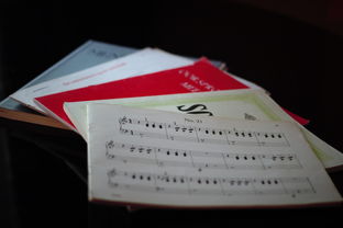 kaiyun体育app-中小学体育课程内容优化实践，中小学体育课程一体化研究