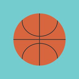 开云·体育官网-篮球专项体能训练中的运动损伤风险管理，篮球专项体能训练应注意的问题