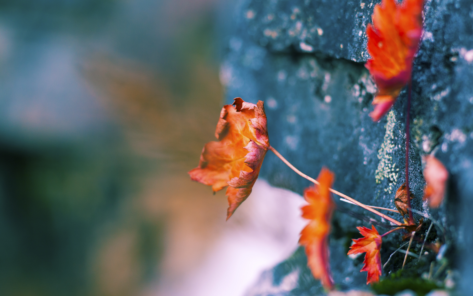青少年体育锻炼中的激励机制研究,青少年加强体育锻炼的目的