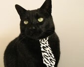 中超球队重视替补席活力构建全队轮换竞争格局,2021中超替补球队收到通知