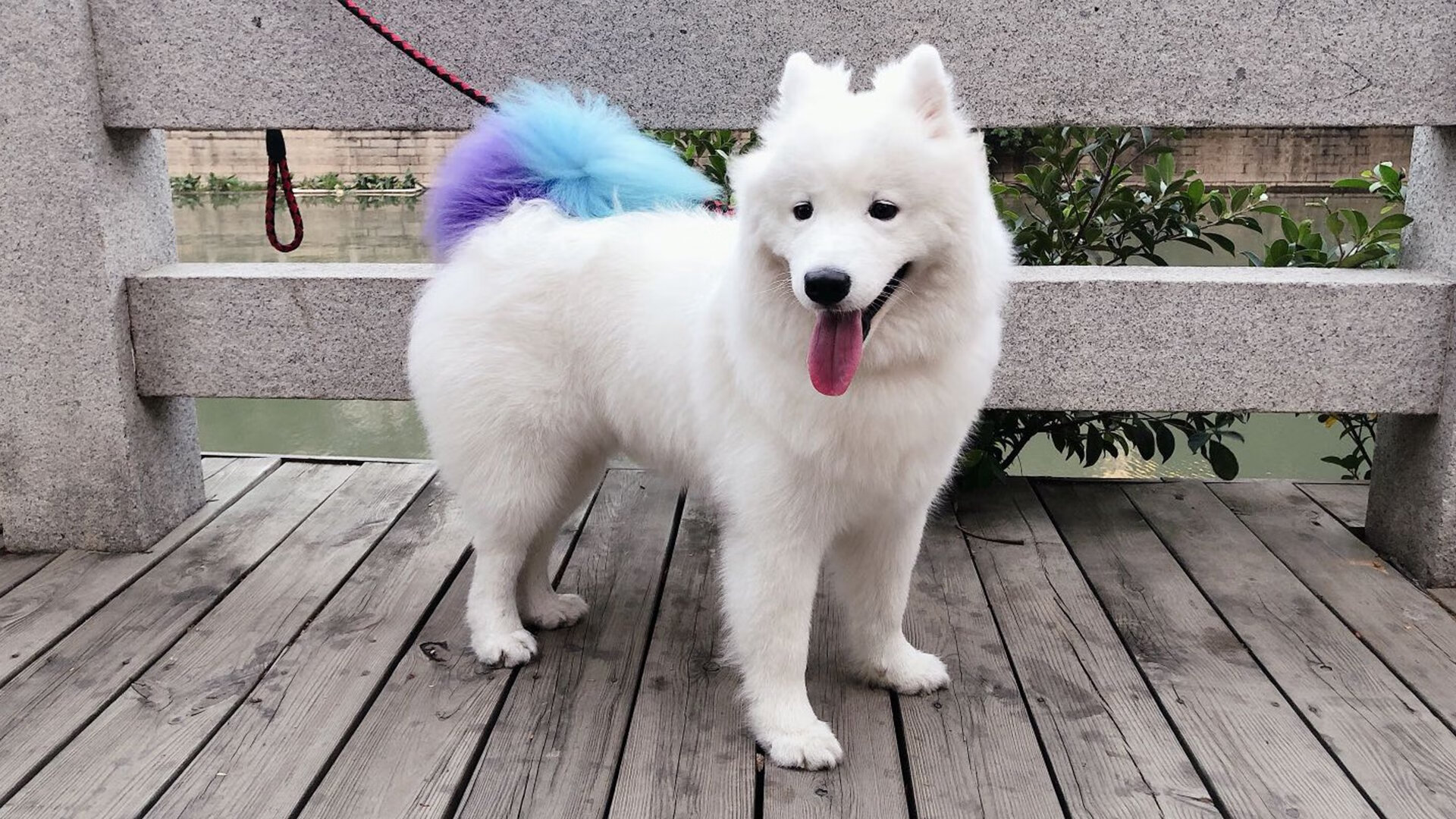 开云网站-乌克兰男篮在欧洲预赛中持续拼搏，向世界展示雄心