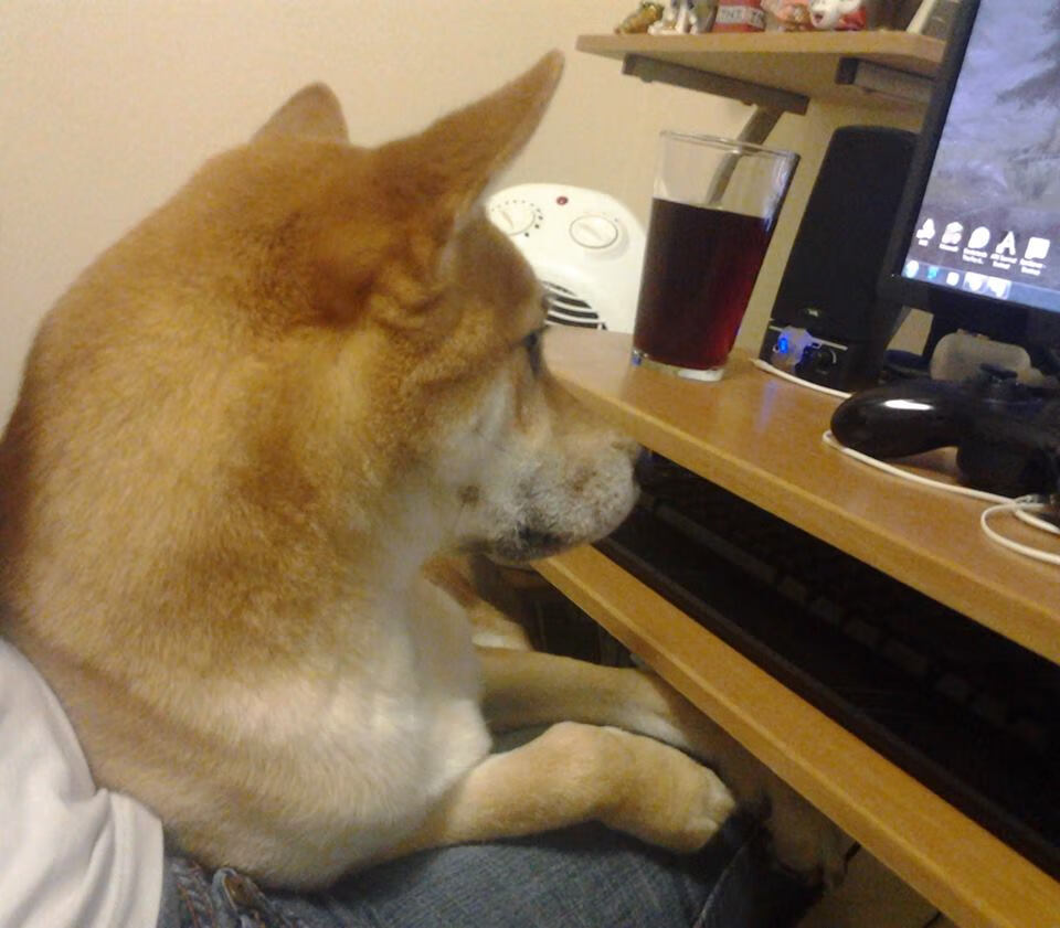 KAIYUNAPP-凯瑟琳·伯科夫赛后分享备赛心得，斯皮尔伯格 凯瑟琳