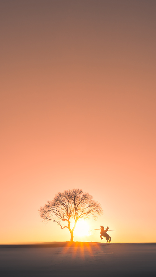 德甲火力全开：一波接一波进攻狂潮！，德甲解析