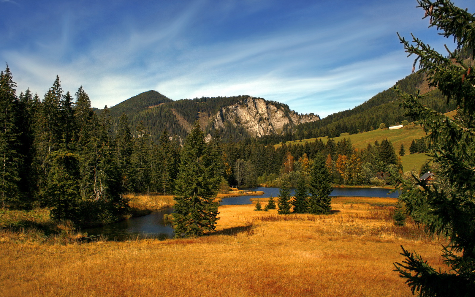 开云官网-波尔曼通过稳定表现，成为袋鼠队攻防两端的关键球员，波尔曼是什么意思