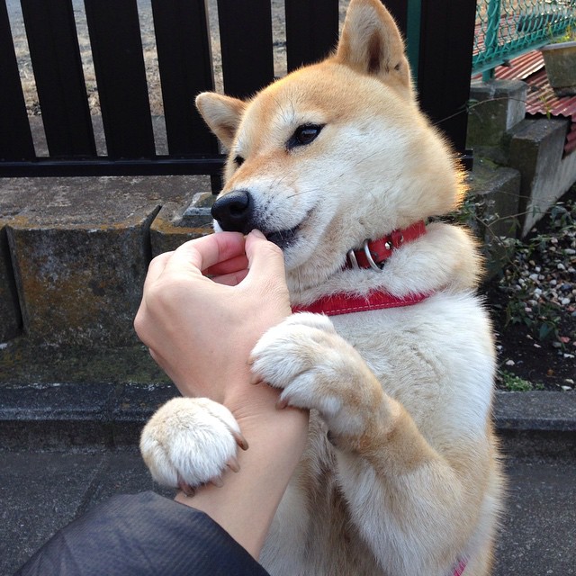 湖人加时险胜勇士终结连败，湖人加时险胜勇士终结连败是真的吗