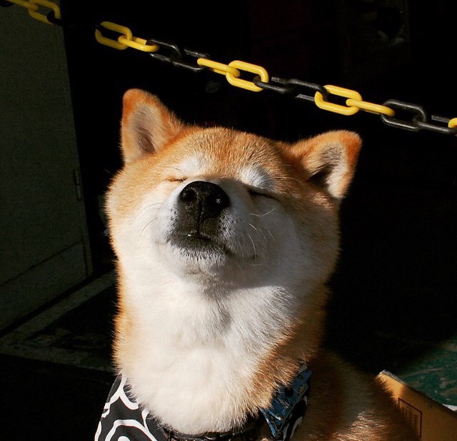 覃海洋赛后发言：享受每一次挑战，覃海洋照片